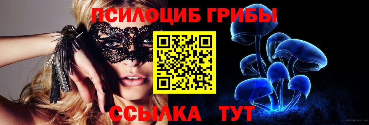 Галлюциногенные грибы GOLDEN TEACHER  Псилоцибиновые грибы мицелий  Ефремов  что такое   Вход с VPN 